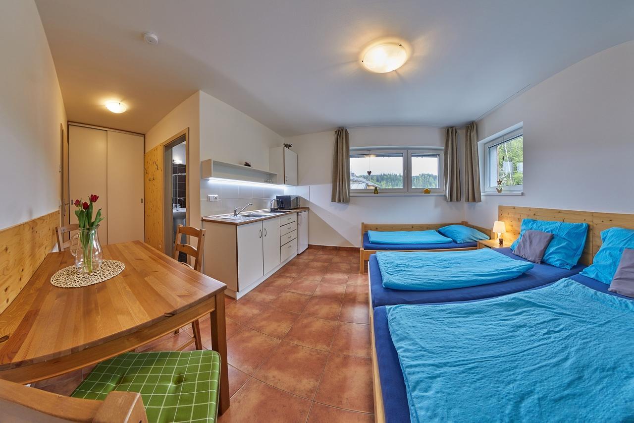 Skipension Janske Lazne Exterior foto