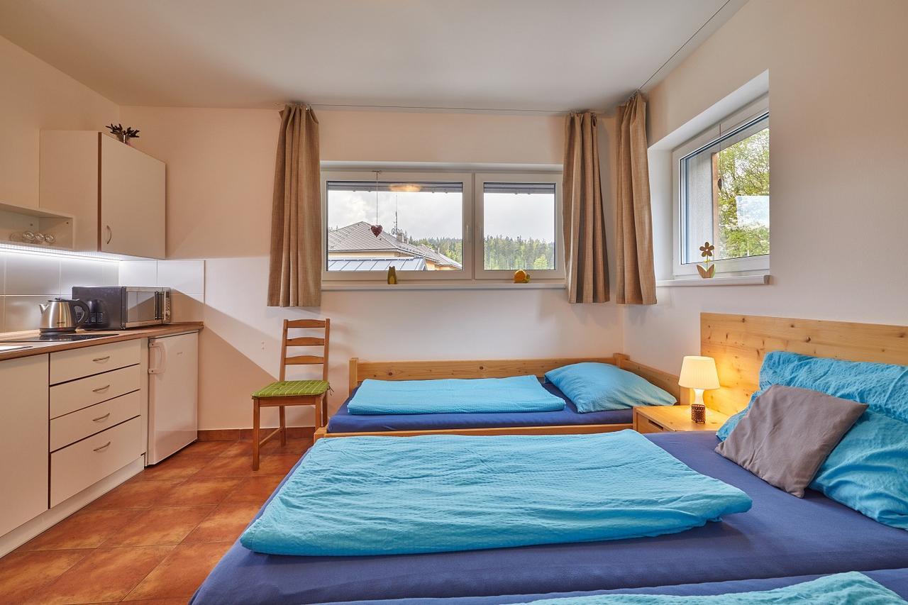 Skipension Janske Lazne Exterior foto